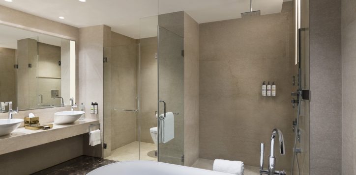 1544-superior-suite-bathroom-low-res-2